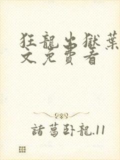 狂龙出狱叶风全文免费看