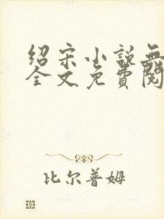 绍宋小说无弹窗全文免费阅读