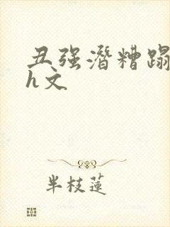 丑强潜糟蹋美人h文