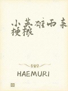 小英雄雨来全书梗概