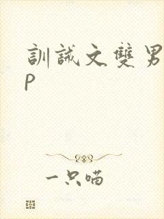 训诫文双男主sp