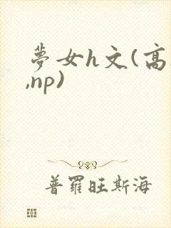 梦女h文(高h,np)封面