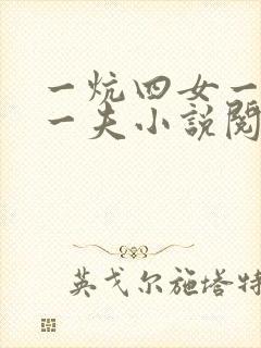 一炕四女一共侍一夫小说阅读