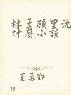 林柔顾里沈峰叫什么小说