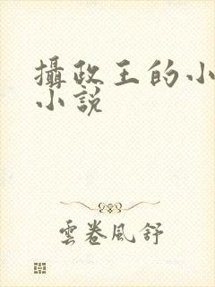 摄政王的小闲妻小说