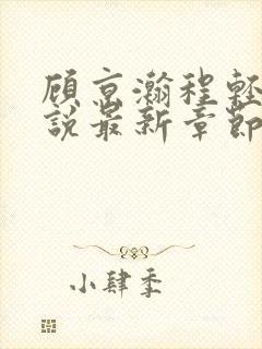 顾京瀚程轻轻小说最新章节免费阅读封面