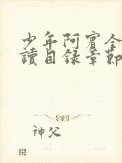 少年阿宾全文阅读目录章节封面