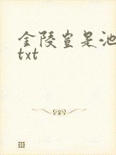 金陵岂是池中物txt
