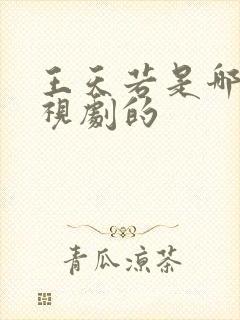 王天若是哪部电视剧的封面