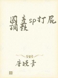 国产sp打屁股调教封面