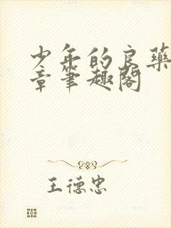 少年的良药22章笔趣阁封面