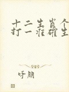 十二生肖个个知打一准确生肖