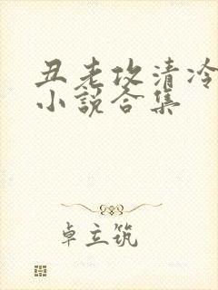 丑老攻清冷美人小说合集