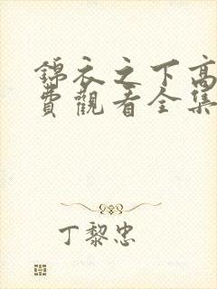 锦衣之下高清免费观看全集电视剧