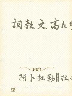 调教文高h双性
