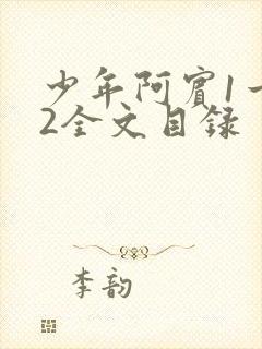 少年阿宾1一72全文目录封面