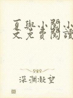 夏与小阅小说全文免费阅读封面
