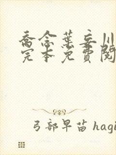 乔念叶妄川小说完本免费阅读