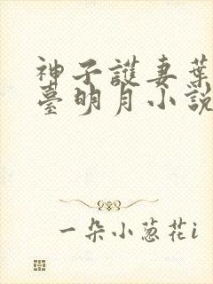 神子护妻叶玄澹台明月小说
