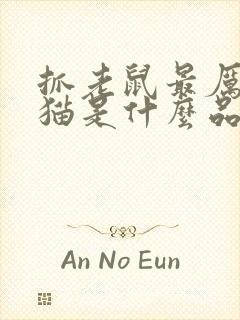 抓老鼠最厉害的猫是什么品种封面