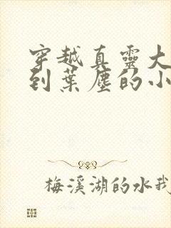 穿越真灵大陆遇到叶尘的小说