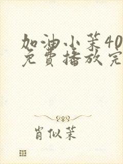 加油小茉40集免费播放完整版