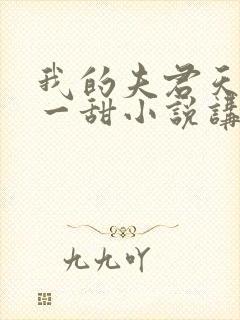 我的夫君天下第一甜小说讲的什么