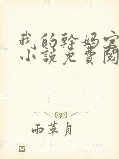 我的干妈官夫人小说免费阅读封面