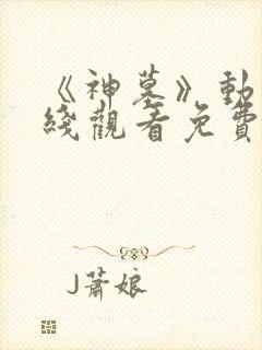 《神墓》动漫在线观看免费