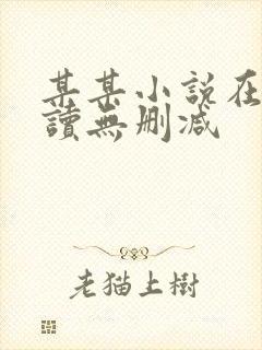 某某小说在线阅读无删减