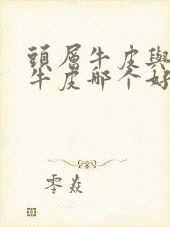 头层牛皮与二层牛皮哪个好