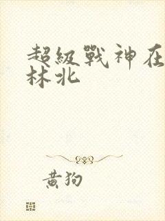 超级战神在都市林北