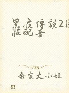 黑夜传说2国语版配音封面