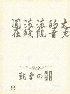 圆滚滚的大扔子在线观看免费高清电影