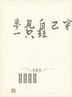 梦见自己穿一样一只鞋