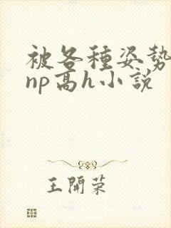 被各种姿势玩弄np高h小说封面