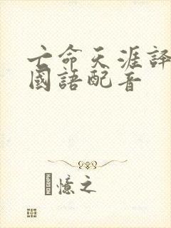 亡命天涯译制片国语配音