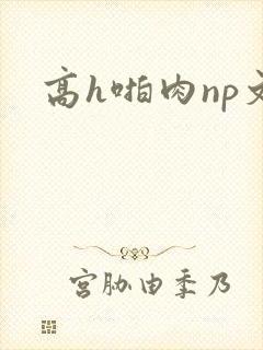 高h啪肉np文