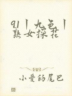91丨九色丨老熟女探花