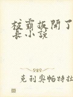 校霸扳开了小班长小说