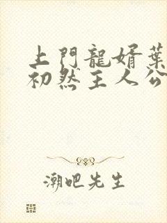 上门龙婿叶辰萧初然主人公封面