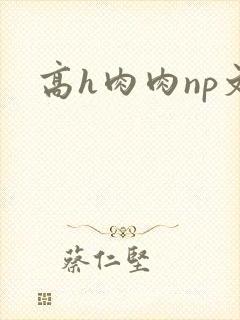 高h肉肉np文封面
