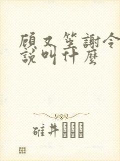 顾又笙谢令仪小说叫什么