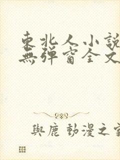 东北人小说免费无弹窗全文阅读