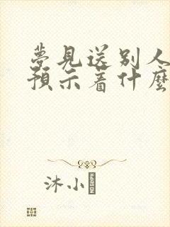 梦见送别人鞋垫预示着什么