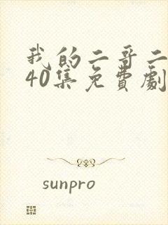 我的二哥二嫂全40集免费剧情介绍