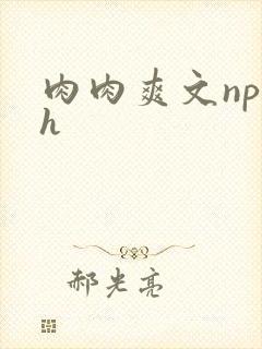 肉肉爽文np高h