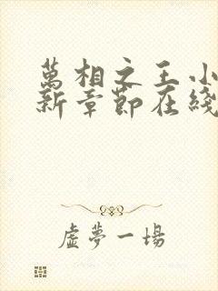 万相之王小说最新章节在线