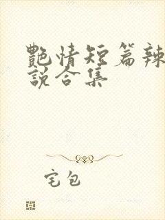 艳情短篇辣文小说合集