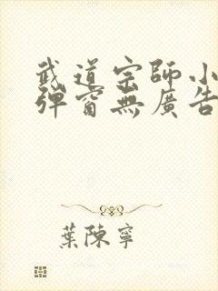 武道宗师小说无弹窗无广告